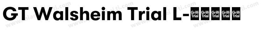 GT Walsheim Trial L字体转换